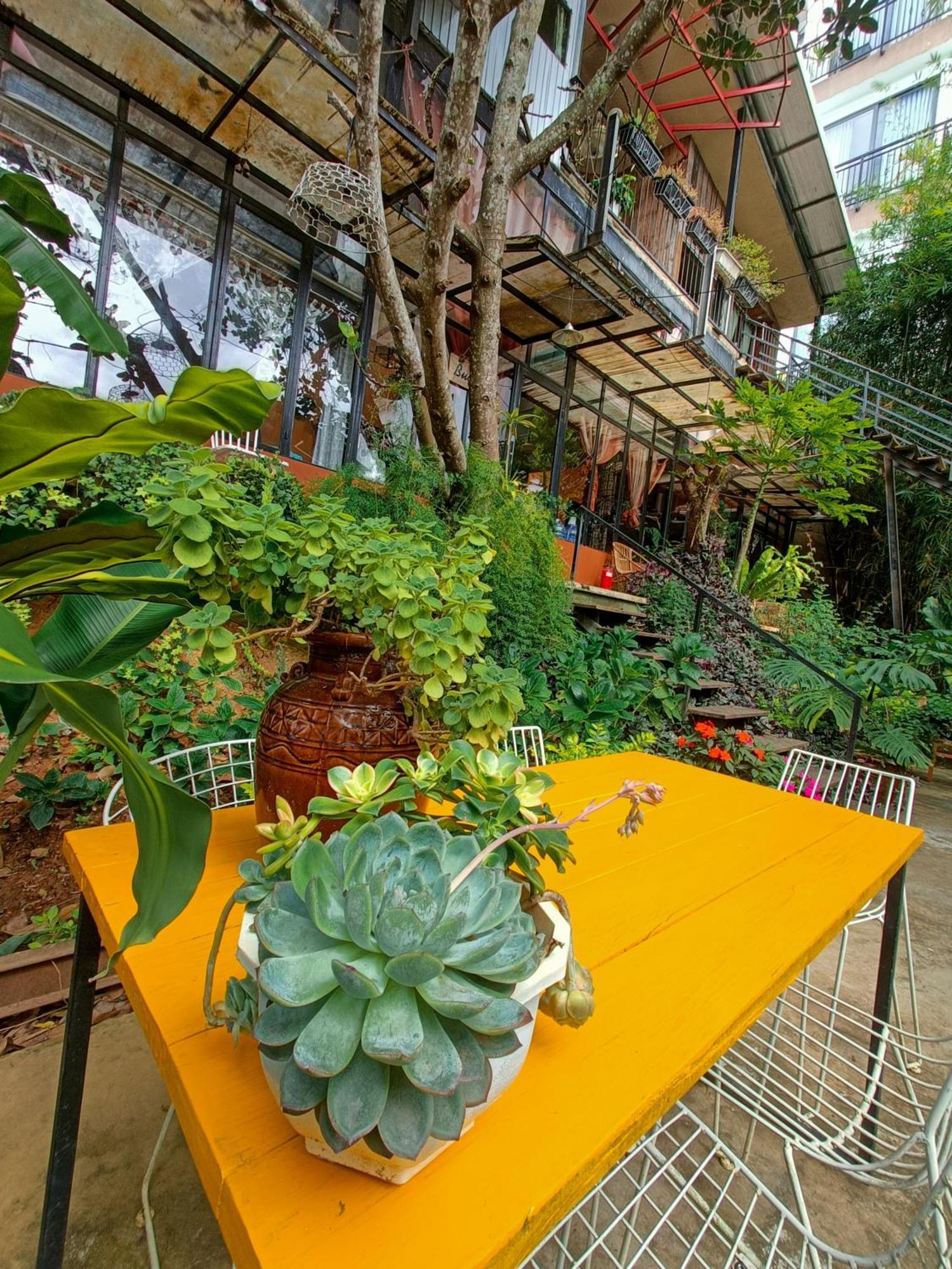 Lalaland Homestay Da Lat Cameră foto